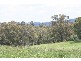 Oberon NSW 2787