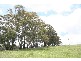 Oberon NSW 2787