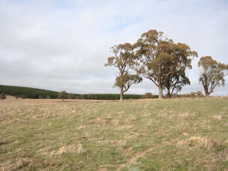 Mount David NSW 2795