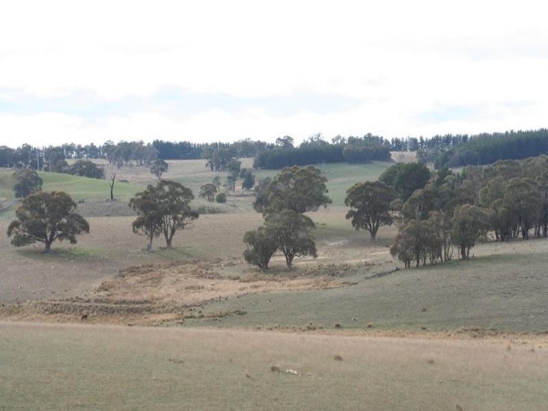 Mount David NSW 2795