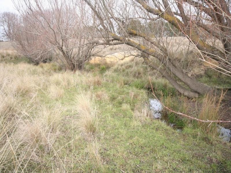 Mount David NSW 2795