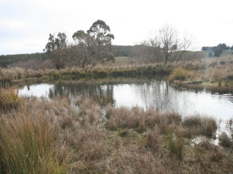 Mount David NSW 2795