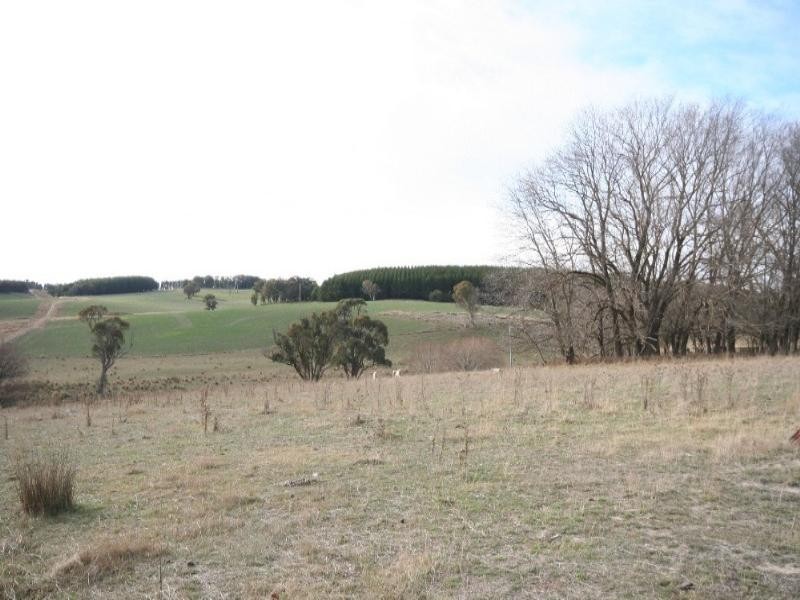 Mount David NSW 2795