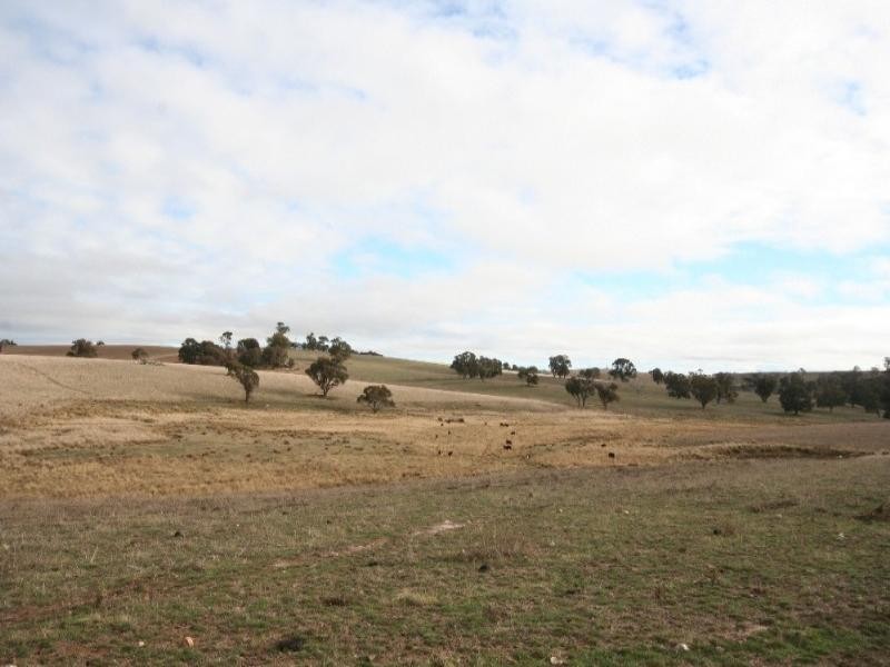 Mount David NSW 2795