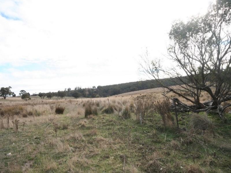 Mount David NSW 2795