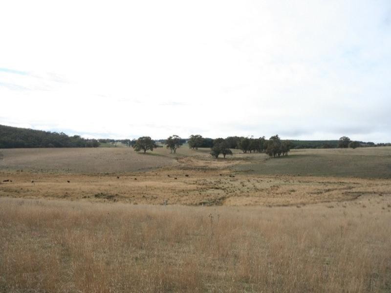 Mount David NSW 2795