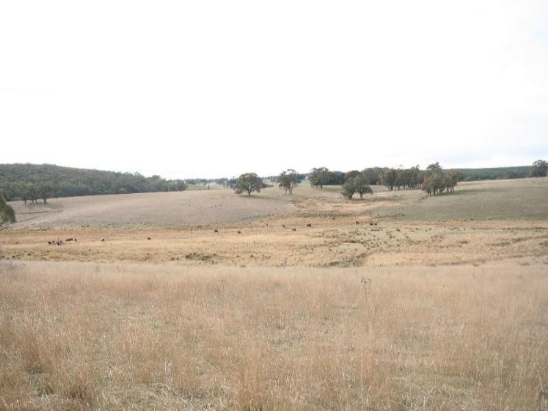 Mount David NSW 2795