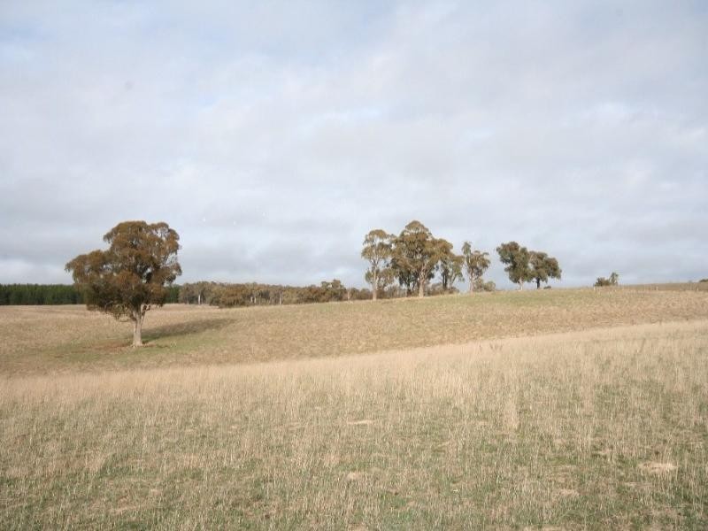 Mount David NSW 2795