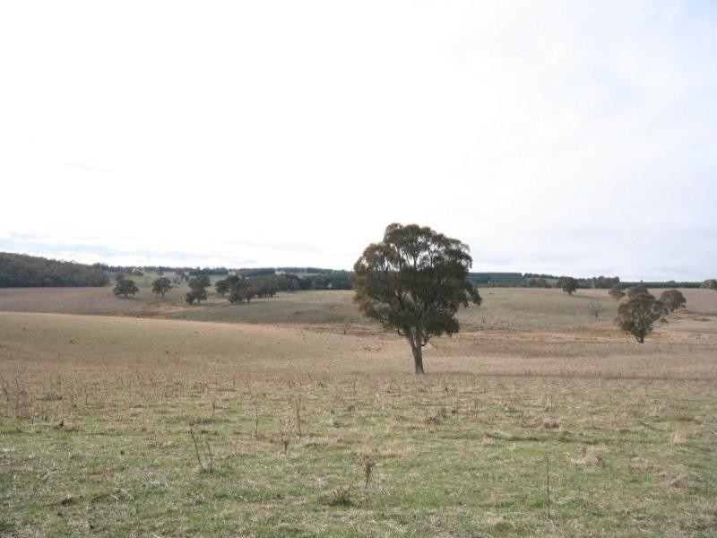 Mount David NSW 2795