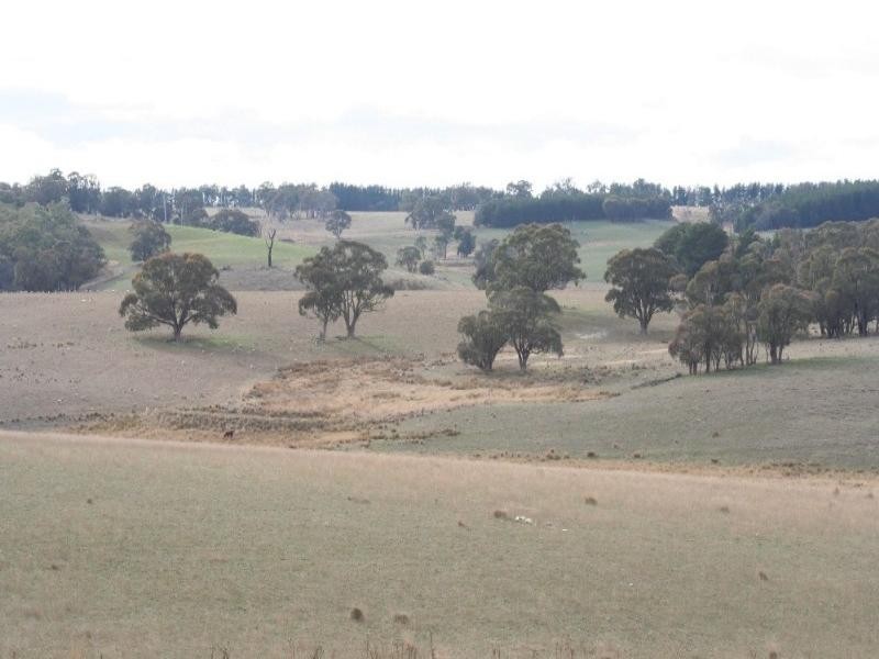 Mount David NSW 2795