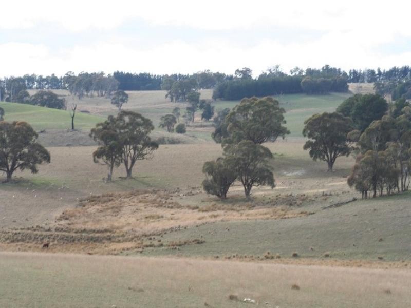 Mount David NSW 2795