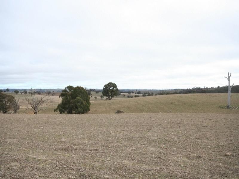 Mount David NSW 2795