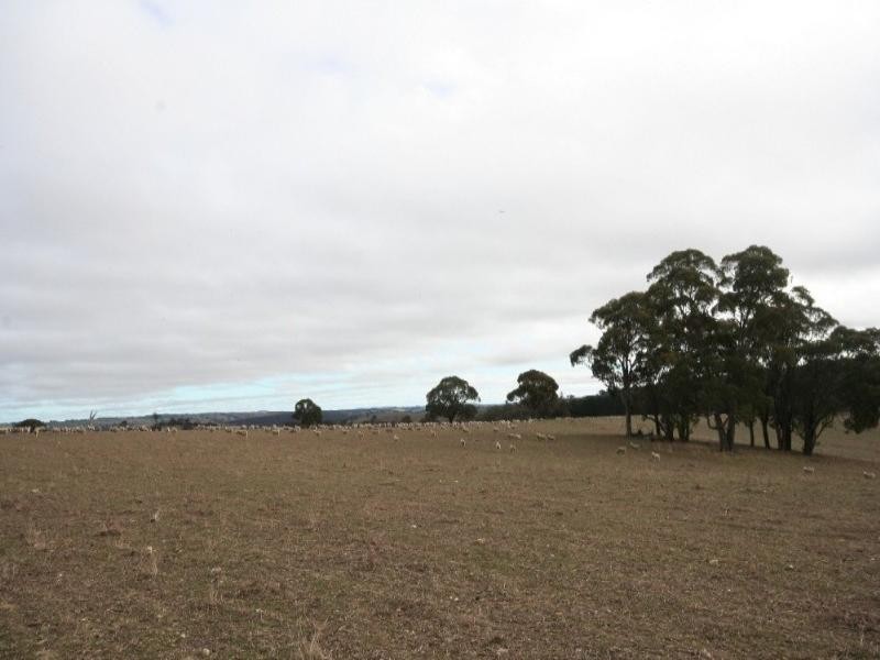 Mount David NSW 2795