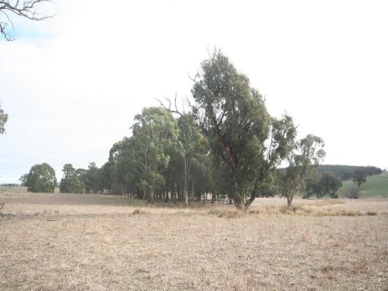 Mount David NSW 2795