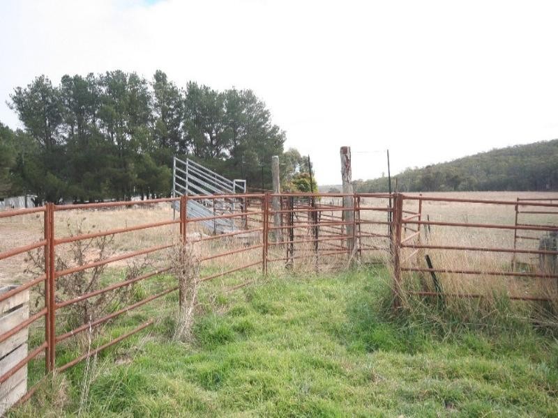 Mount David NSW 2795