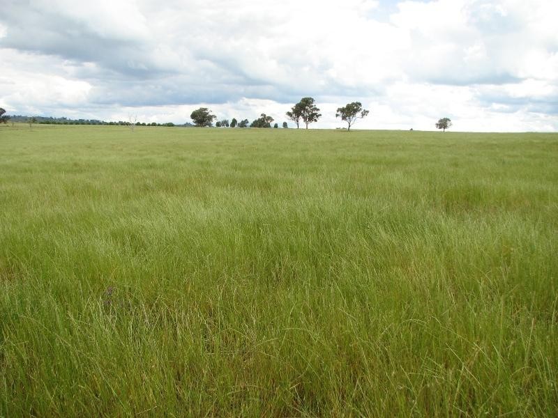393 Battery Road, Cowra NSW 2794