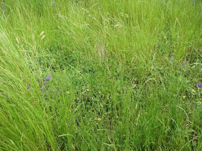 393 Battery Road, Cowra NSW 2794