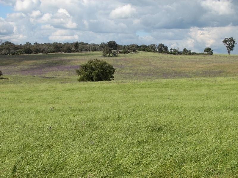 393 Battery Road, Cowra NSW 2794
