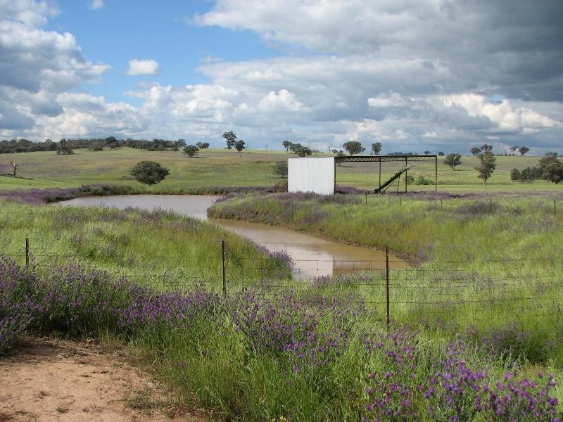 393 Battery Road, Cowra NSW 2794
