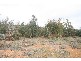 Oberon NSW 2787
