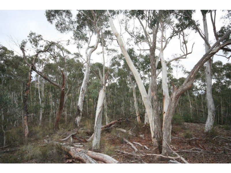 Wisemans Creek NSW 2795