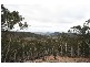 Wisemans Creek NSW 2795