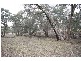 Wisemans Creek NSW 2795
