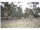 Wisemans Creek NSW 2795