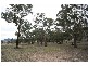 Wisemans Creek NSW 2795