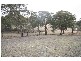 Wisemans Creek NSW 2795