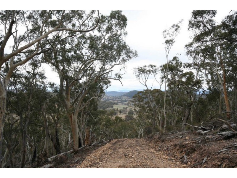 Wisemans Creek NSW 2795
