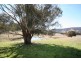 Oberon NSW 2787