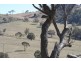 Oberon NSW 2787