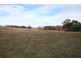 Black Springs NSW 2787