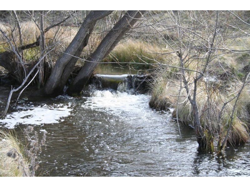 Black Springs NSW 2787