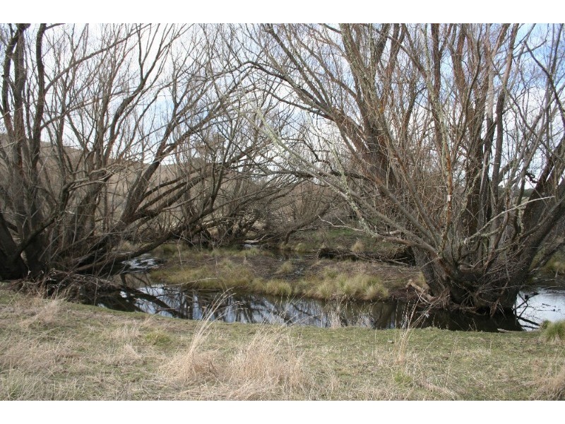 Black Springs NSW 2787