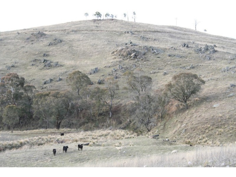 Black Springs NSW 2787