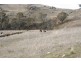 Black Springs NSW 2787