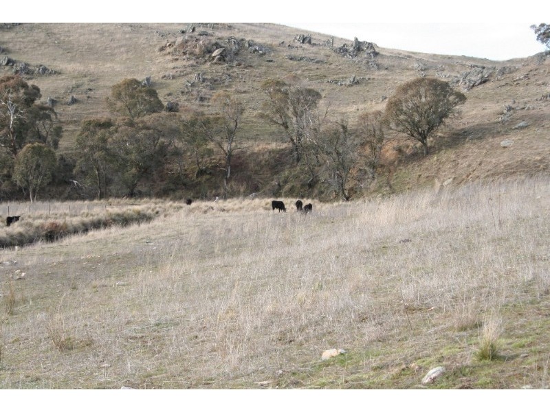 Black Springs NSW 2787