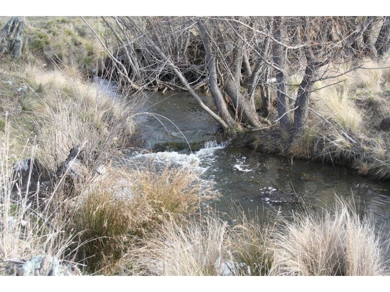 Black Springs NSW 2787