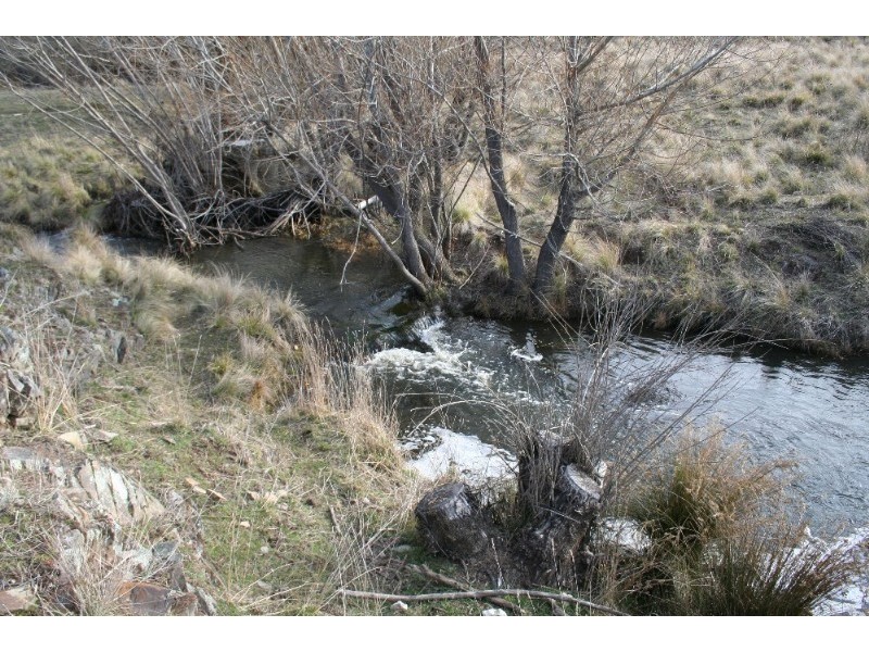 Black Springs NSW 2787