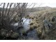 Black Springs NSW 2787