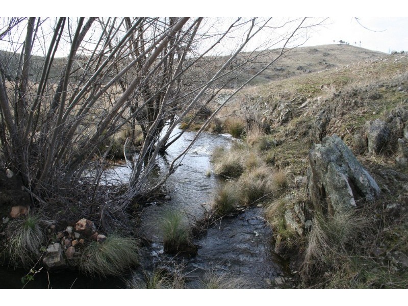 Black Springs NSW 2787