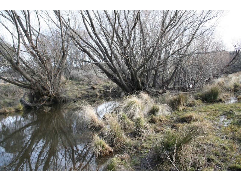 Black Springs NSW 2787