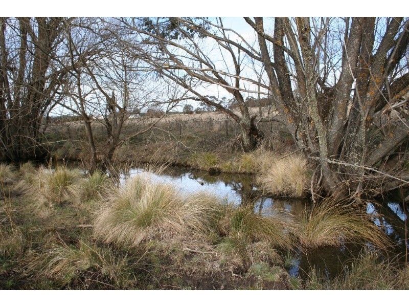 Black Springs NSW 2787