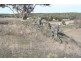 Black Springs NSW 2787