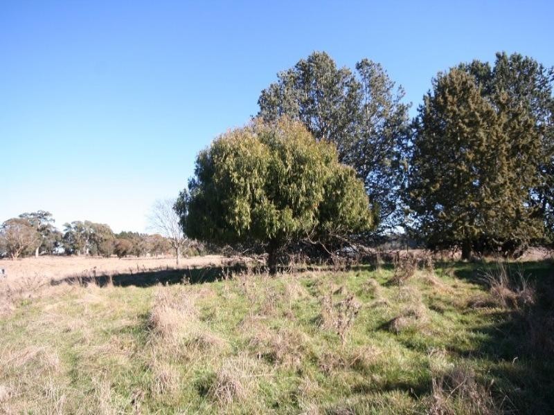 Edith NSW 2787