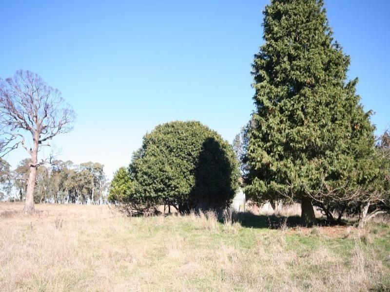 Edith NSW 2787