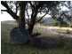 Oberon NSW 2787