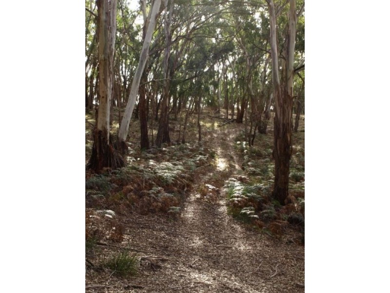Oberon NSW 2787